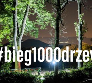 #Bieg1000drzew