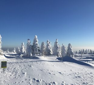 Zima coraz śmielej daje o sobie znać