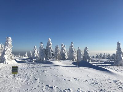 Zima coraz śmielej daje o sobie znać
