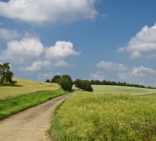 Wicemarszałek Grzegorz Macko wręczył nagrody laureatom konkursu Piękna Wieś Dolnośląska