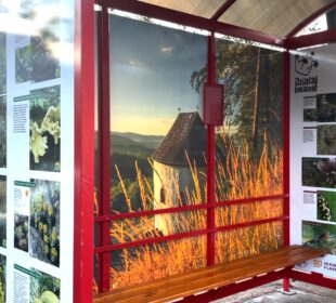 Kolorowymi przystankami edukują mieszkańców i turystów Kolorowymi przystankami edukują mieszkańców i turystów
