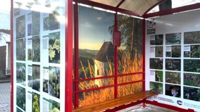 Kolorowymi przystankami edukują mieszkańców i turystów