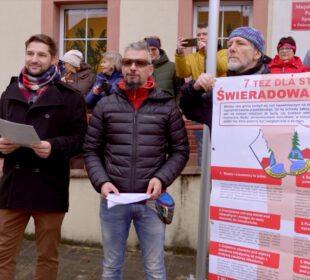 7 tez Stowarzyszenia Flins