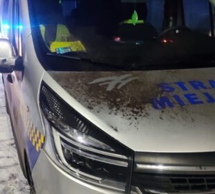 Kobieta rzuciła donicą prosto w stojący pod domem radiowóz Straży Miejskiej