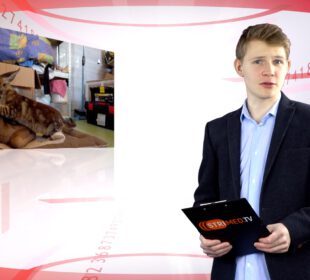 Wydarzenia z dnia 22.12.2021 r.