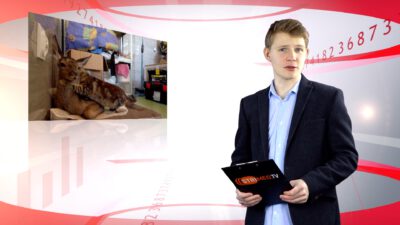 Wydarzenia z dnia 22.12.2021 r.