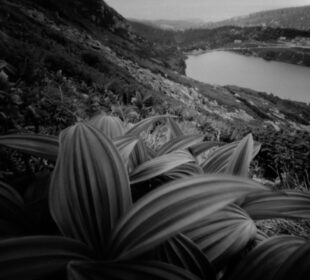 Kilkaset czarno-białych zdjęć Karkonoszy w BWA Kilkaset czarno-białych zdjęć Karkonoszy w BWA