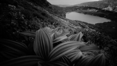 Kilkaset czarno-białych zdjęć Karkonoszy w BWA