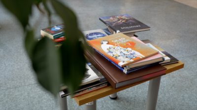 Świąteczny kiermasz “Książka pod choinkę”