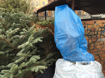 Pierwsze choinki już w śmietnikach