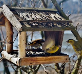 Ferie czas start! Nie zapomnij o środowisku podczas zimowego szaleństwa Ferie czas start! Nie zapomnij o środowisku podczas zimowego szaleństwa