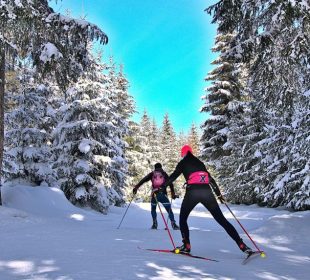 Trasy biegowe w Górach Izerskich od strony Jakuszyc częściowo niedostępne Trasy biegowe w Górach Izerskich od strony Jakuszyc częściowo niedostępne