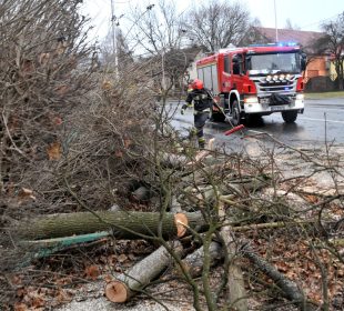 Silny wiatr spowodował wiele szkód