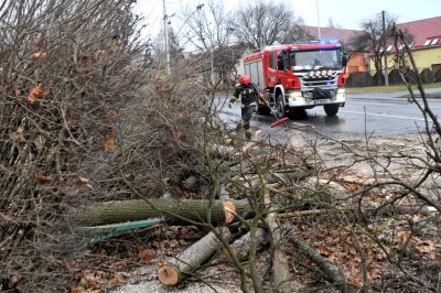 Silny wiatr spowodował wiele szkód