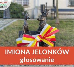 Jak będą nazywać się nowe Jelonki?
