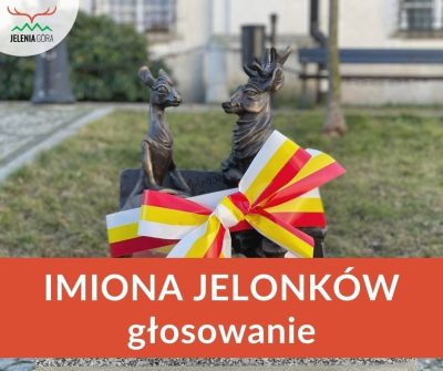 Jak będą nazywać się nowe Jelonki?