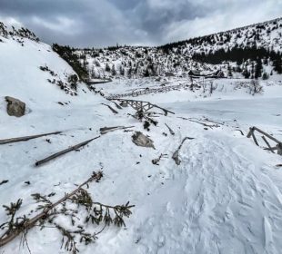 Lawiny w Kotle Małego Stawu