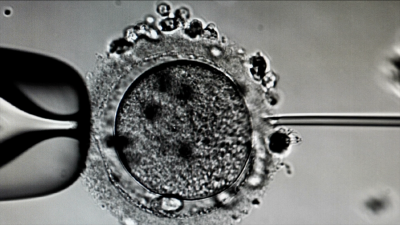 In Vitro w Jeleniej Górze