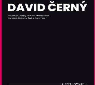Wystawa David Černego  przełożona