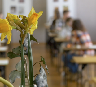 XVIII sprawdzian z języka polskiego