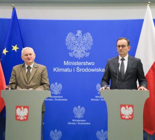 Będą nowe lasy – Lasy Państwowe kupują tereny pod zalesianie