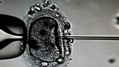 In Vitro w Jeleniej Górze