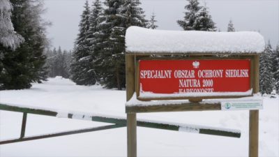 Jakuszyckie szlaki dla narciarzy czy piechurów?