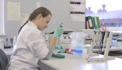 Leśny Bank Genów Kostrzyca pomaga w ujęciu sprawców kradzieży drewna