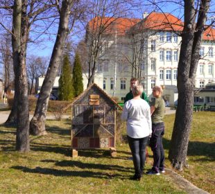 W “Rzemiosłach” powstał dom dla owadów