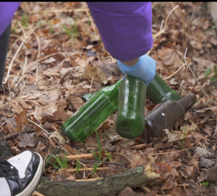 Dzień Ziemi w liceum Żeromskiego Dzień Ziemi w liceum Żeromskiego