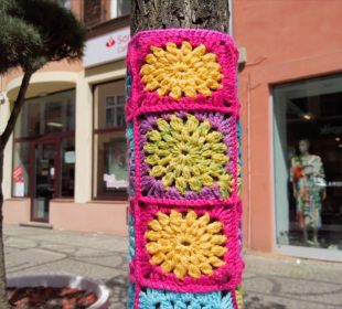 Gang grasuje po Jeleniej Górze! Gang grasuje po Jeleniej Górze!