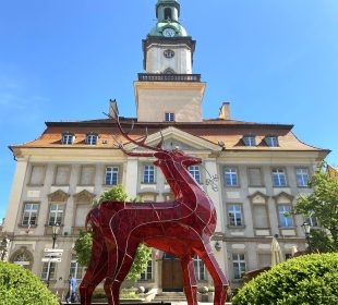 „Magik” z MPGK „Magik” z MPGK