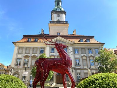 Jelenia Góra: Wiadomości samorządowe