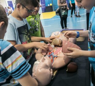 Mobilna wystawa Kopernika w Jeleniej Górze Mobilna wystawa Kopernika w Jeleniej Górze