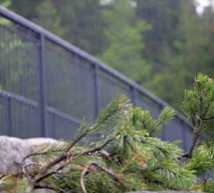 Nowa-stara droga w górach Izerskich