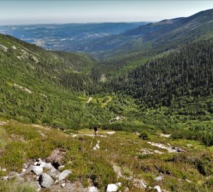 Otwarty szlak przez Kocioł Łomniczki Otwarty szlak przez Kocioł Łomniczki