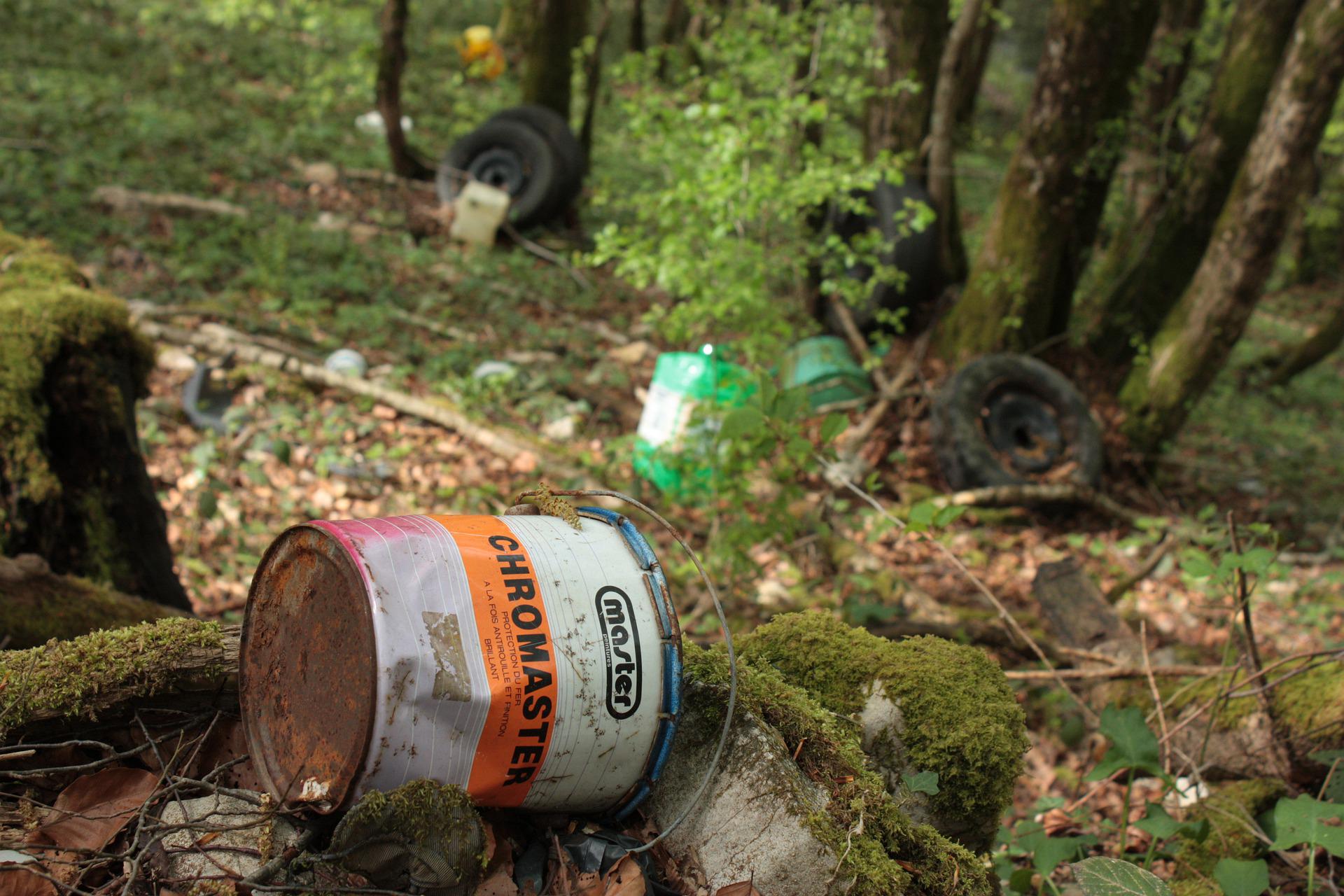 Góry śmieci w lasach i parkach. Ważyły prawie tyle co 2300 Dreamlinerów