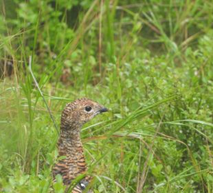 KPN: Szlaki nadal pozostają zamknięte