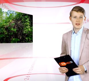 Wydarzenia z dnia 1.06.2022 r. Wydarzenia z dnia 1.06.2022 r.