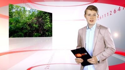 Wydarzenia z dnia 1.06.2022 r.