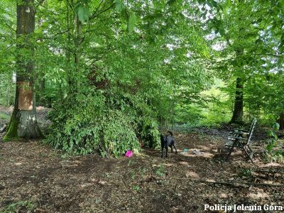 Ukrył się w lesie w szałasie, bo nie chciał iść do więzienia