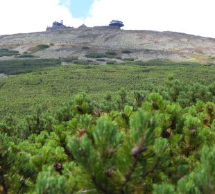 Złota Pinezka Google dla Karkonoskiego Parku Narodowego