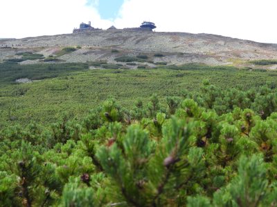 Złota Pinezka Google dla Karkonoskiego Parku Narodowego Złota Pinezka Google dla Karkonoskiego Parku Narodowego
