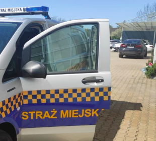 Samochód sam wyjechał na ulicę… Samochód sam wyjechał na ulicę…