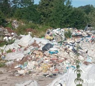 Gromadzi odpady, które zagrażają życiu i zdrowiu ludzi, ale również powodują zniszczenia w świecie roślinym i zwierzęcym Gromadzi odpady, które zagrażają życiu i zdrowiu ludzi, ale również powodują zniszczenia w świecie roślinym i zwierzęcym