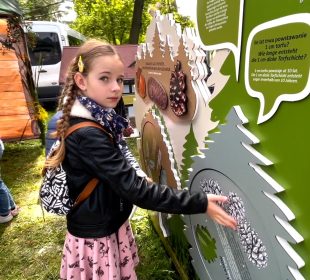 Rewelacyjne Dary Lasu