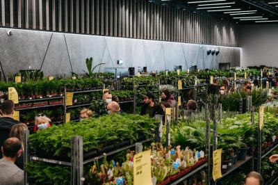 Festiwal Roślin w niedługo zawita do Legnicy