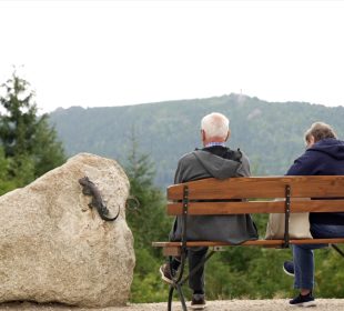 Jak podsumować wakacje? Wysokie ceny, ale… Jak podsumować wakacje? Wysokie ceny, ale…