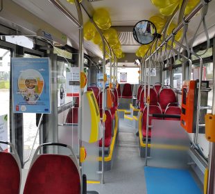 Hybryda z niespodzianką Hybryda z niespodzianką