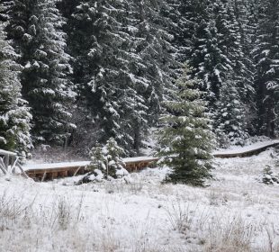 KPN: Nowe kładki na Polanie do Pielgrzymów KPN: Nowe kładki na Polanie do Pielgrzymów